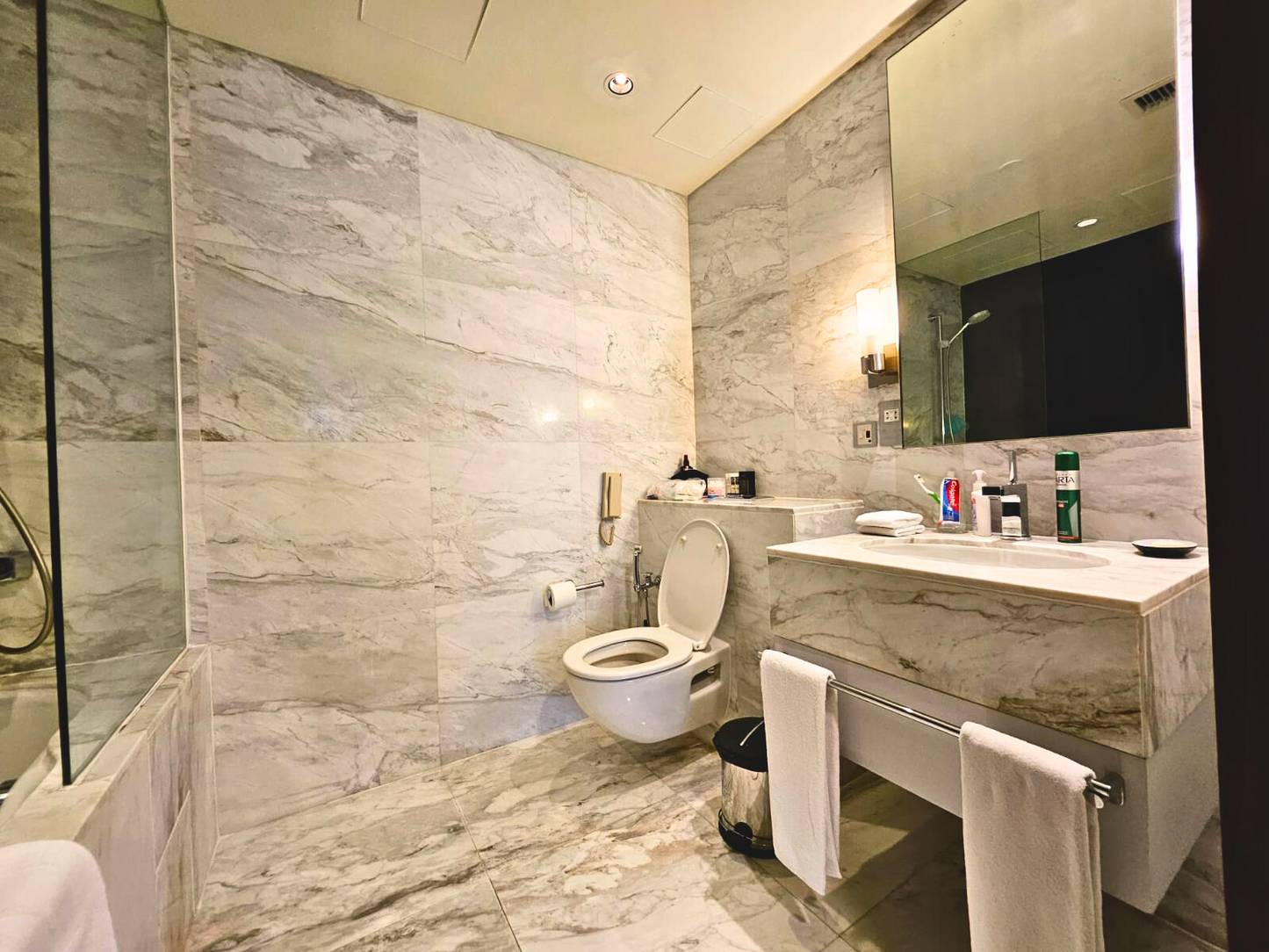 Live the Prestigious Life in the Center of Dubai